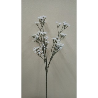101-24 Трава белые цветы