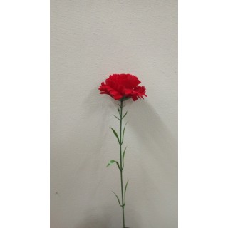 1-24 Гвоздика