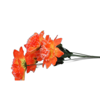 353-25 Гвоздика