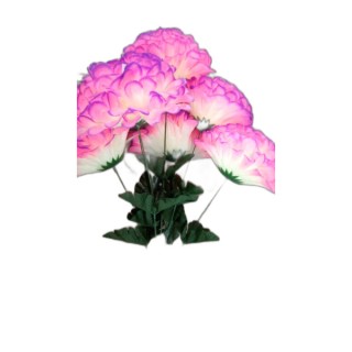 9-25 Кувшинка