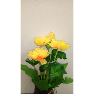 9-25 Кувшинка