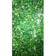 Коврик Трава ряска