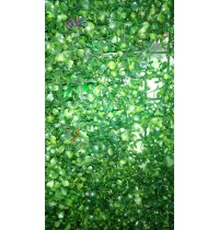 Коврик Трава ряска