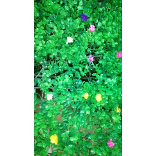 Коврик Трава с мелкими цветами