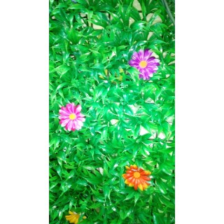 Коврик Трава с цветами