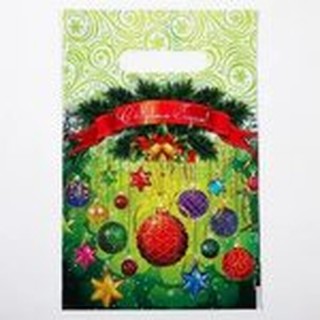 Пакеты пр/руч 20х30 Новый год/50