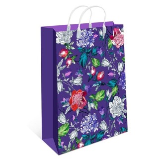 Сумка пластиковая 22,5х27 BAS