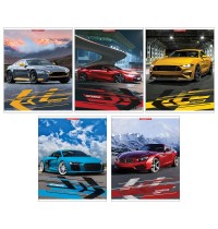 Тетрадь 96л кл. А5 Haze