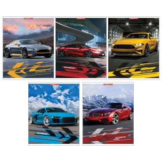 Тетрадь 96л кл. А5 Haze