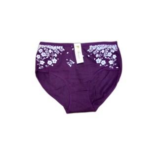 Трусы жен. 9351