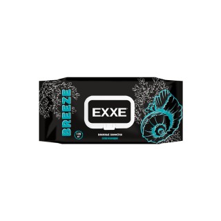 Влаж. салф. EXXE Men 120шт клапан /14