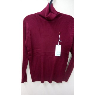 Водолазка 424